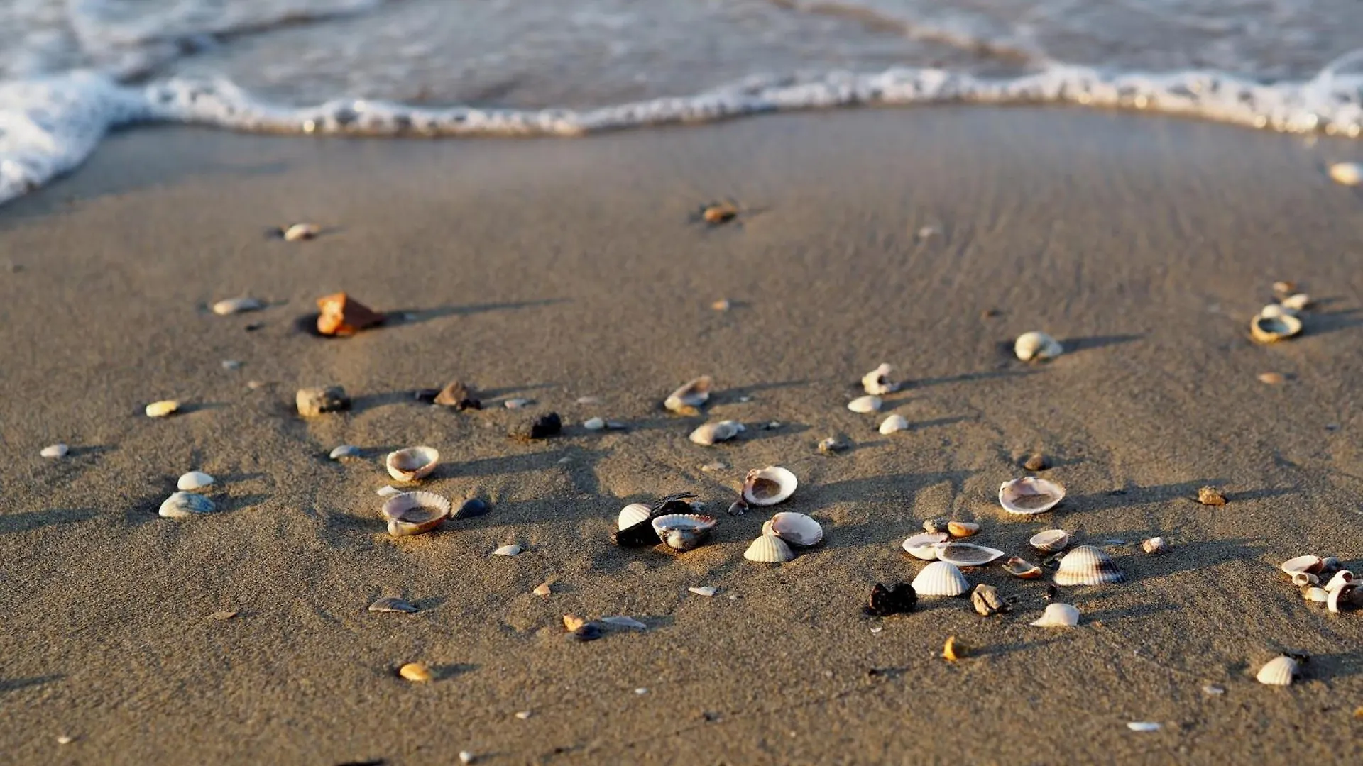 Great Flat 100M From The Beach - Beahost Rentals Bibione
